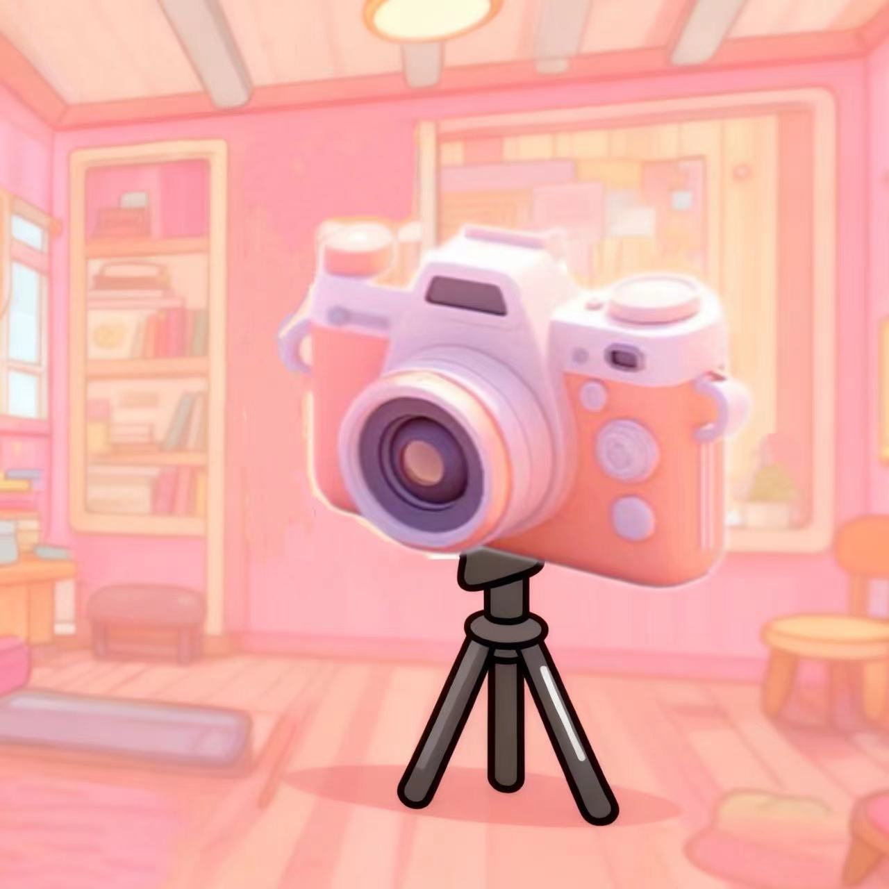 Video of packing order